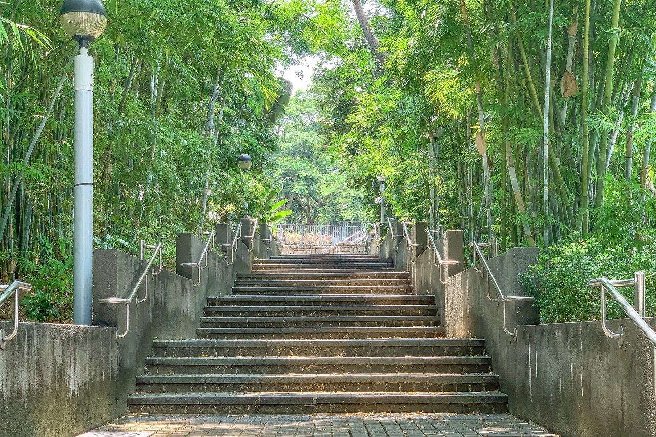 Personne pratiquant l'urban park walking stairs pour intégrer l’activité physique sans effort dans son quotidien.