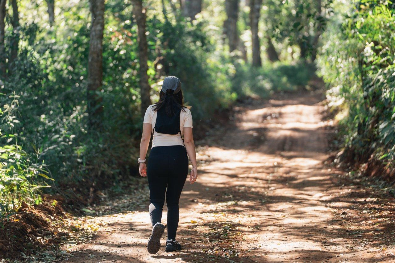 Une woman walking nature relaxation dans une forêt paisible pour réduire le stress et favoriser le bien-être.
